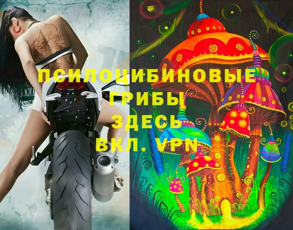 амф Беломорск