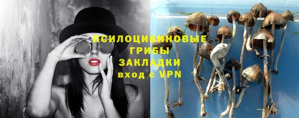 сатива Сосновка