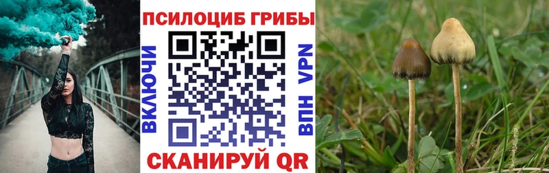 omg маркетплейс  Верхний Тагил  Псилоцибиновые грибы Magic Shrooms 